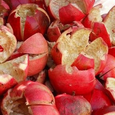НАР кори